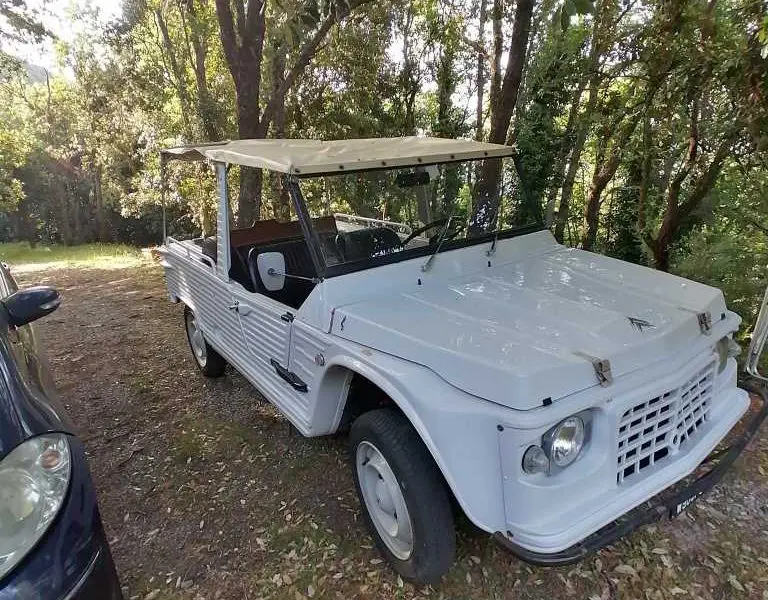 Citroen Mehari vettura in ottime condizionI