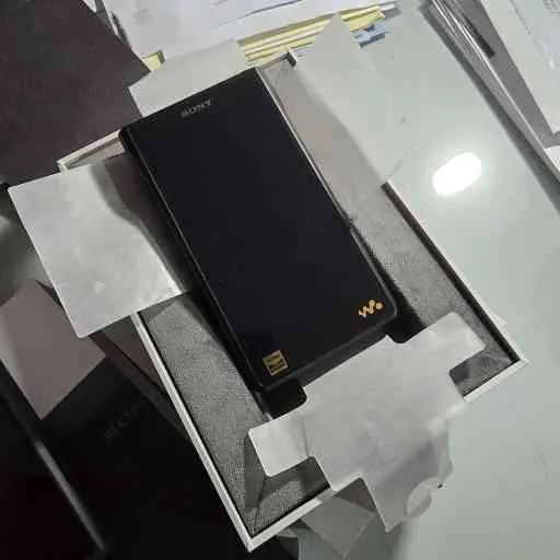 Sony NW-WM1AM2 - Lettore audio Walkman
