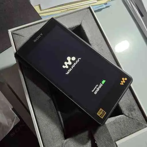 Sony NW-WM1AM2 - Lettore audio Walkman