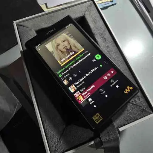 Sony NW-WM1AM2 - Lettore audio Walkman