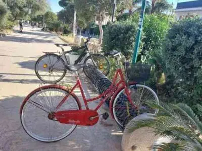 Bicicletta d'epoca Bottecchia