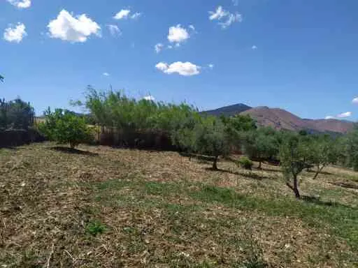 due appezzamenti di terreno a Roccabianca zona Bolognetta