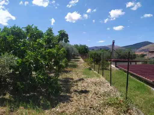 due appezzamenti di terreno a Roccabianca zona Bolognetta