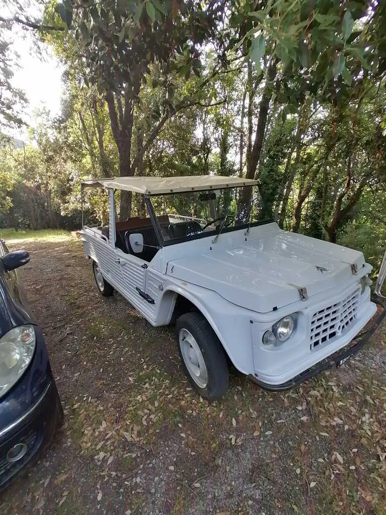 Citroen Mehari vettura in ottime condizionI