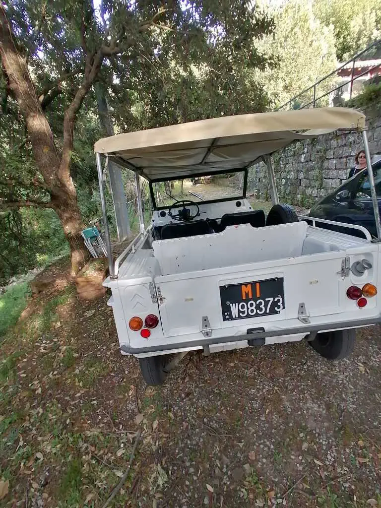 Citroen Mehari vettura in ottime condizionI