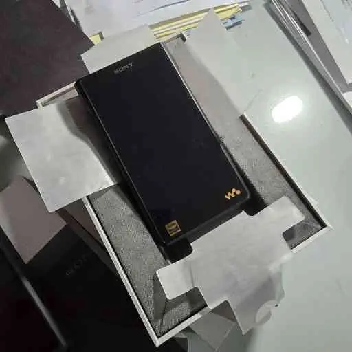 Sony NW-WM1AM2 - Lettore audio Walkman