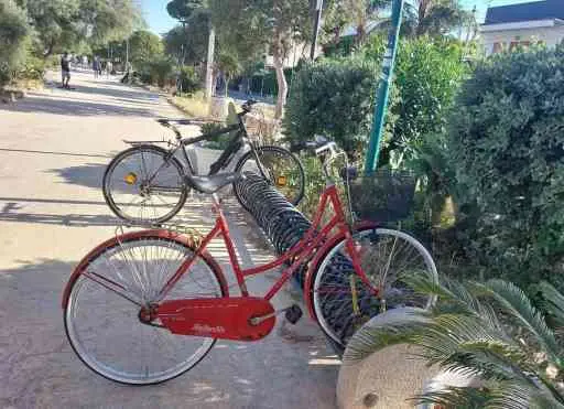 Bicicletta d'epoca Bottecchia