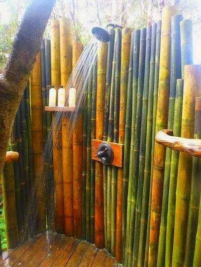 Vendo canne di bambù bambu con diametro da 1 a 10 cm. - Giornale delle Pulci